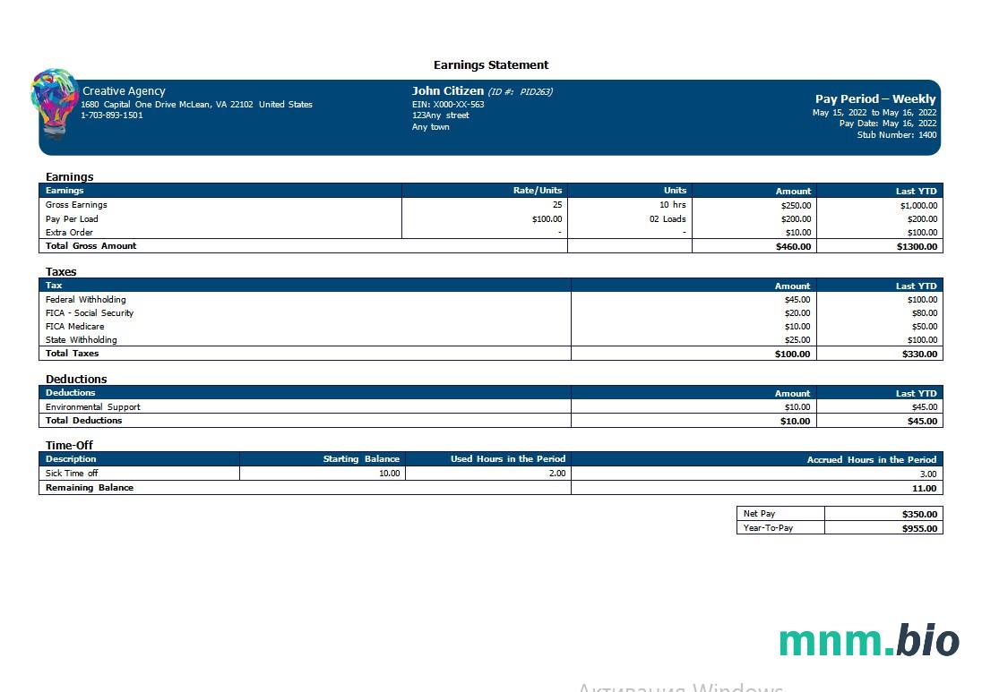 Creative company earning statement w formatach Word i PDF